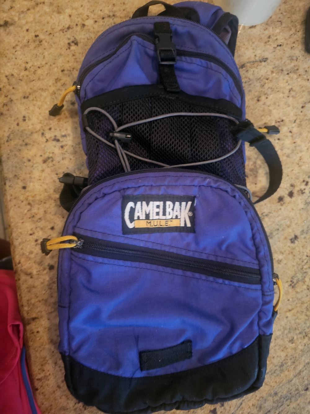 CamelBak Blue and Black Hydration Backpack